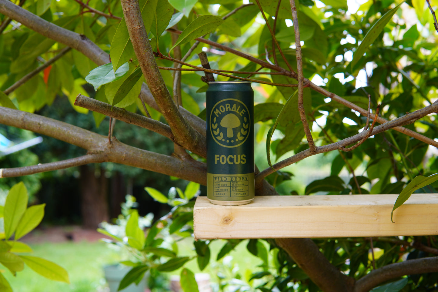 Wild Berry Adaptogen Drink
