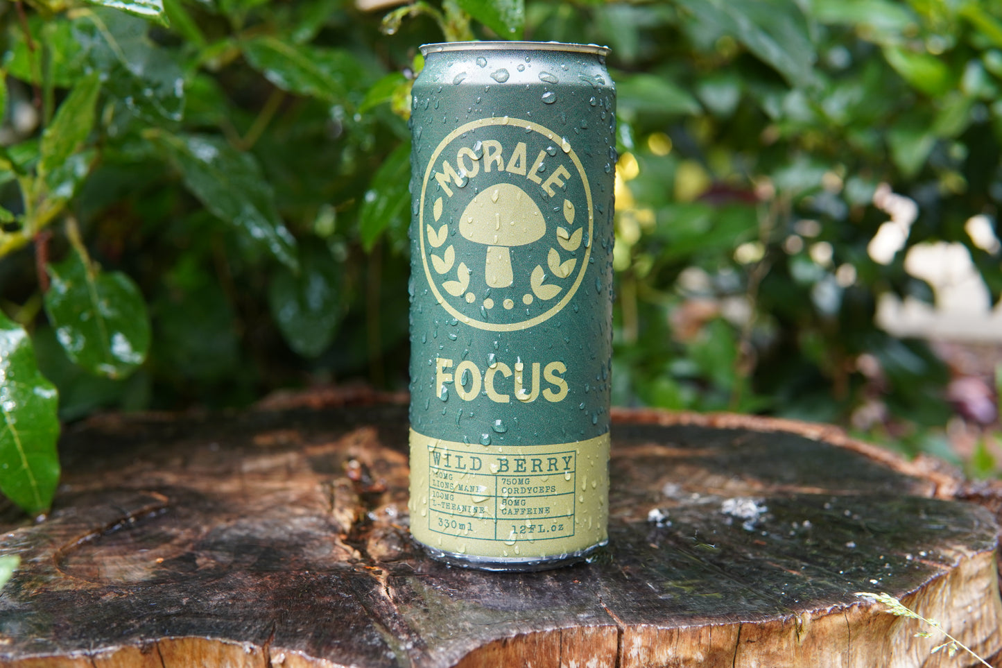 Wild Berry Adaptogen Drink