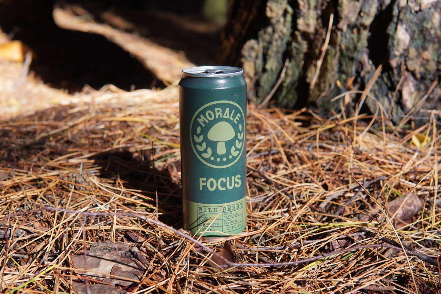 Wild Berry Adaptogen Drink