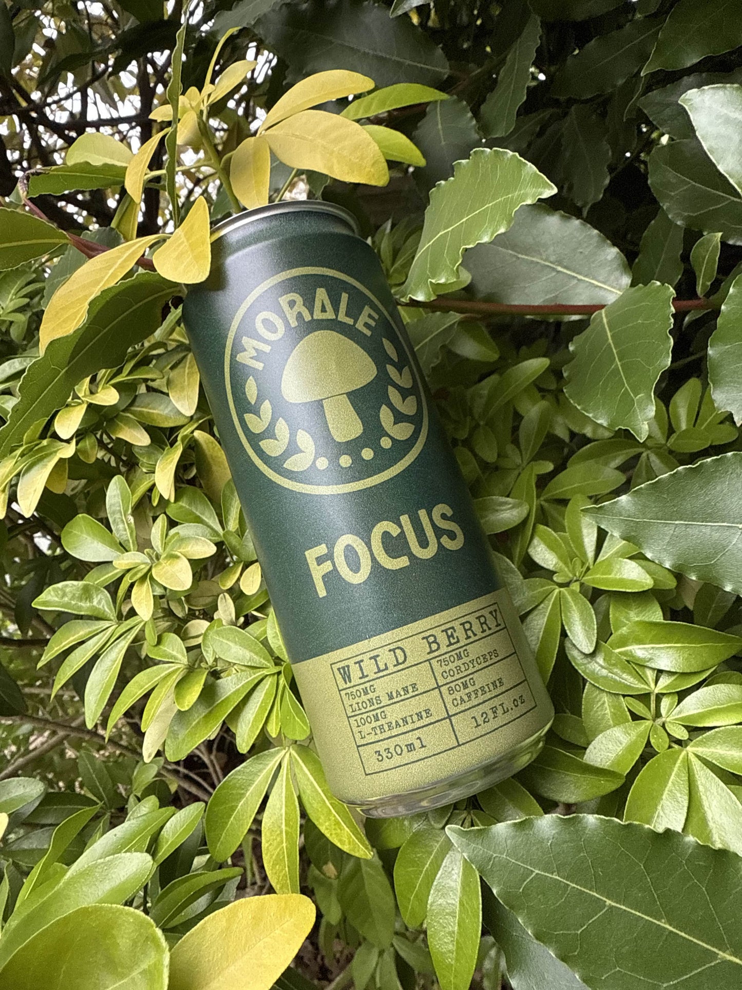 Wild Berry Adaptogen Drink